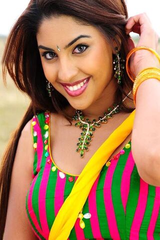 Radiant Elegance: A Celebration of Color