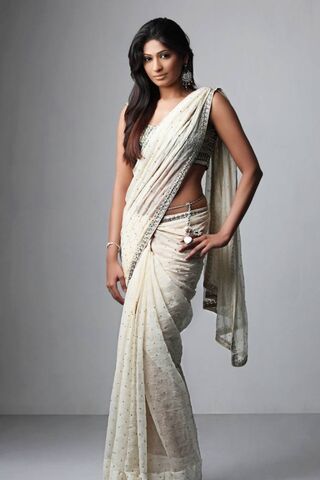 Elegant Grace in Traditional Attire ✨