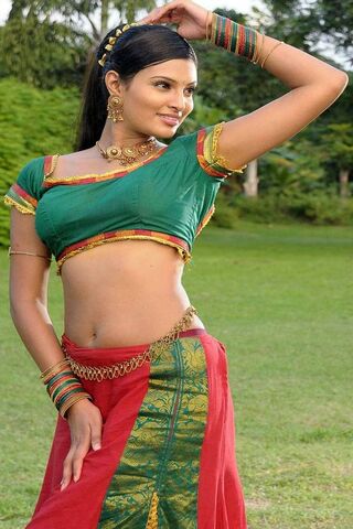 Elegance in Tradition: A Celebration of Indian Culture