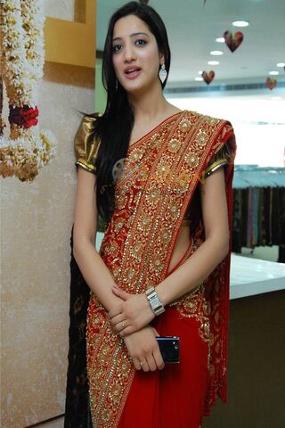 Elegance in Tradition: A Stunning Saree Showcase