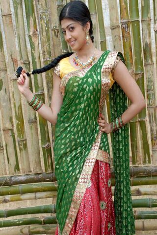 Elegance in Tradition: A Celebration of Indian Culture