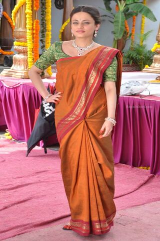 Elegance in Tradition: A Stunning Saree Look