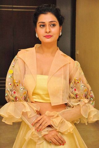 Elegance in Yellow: A Glimpse of Payal Rajput