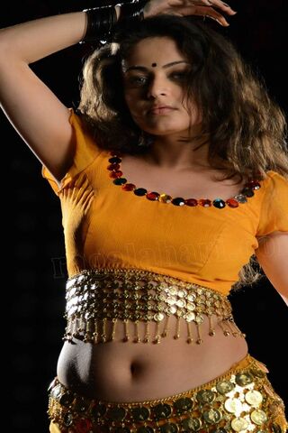 Radiant Elegance: The Charm of Sneha Ullal