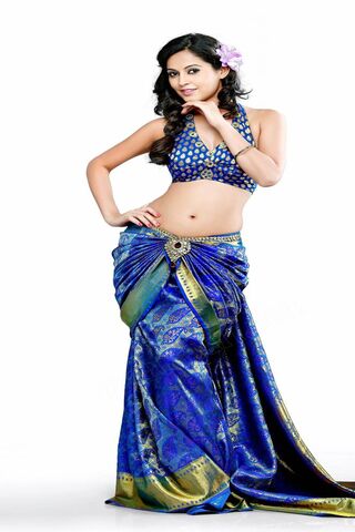 Elegance in Blue: A Stunning Saree Look