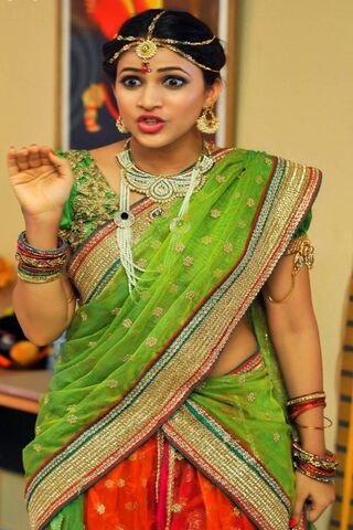 Vibrant Elegance: A Celebration of Tradition