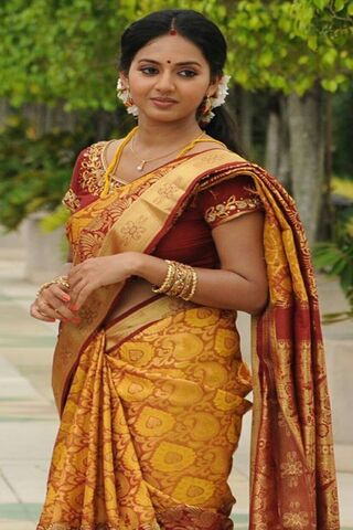 Elegance in Tradition: Vidya Pradeep's Graceful Attire