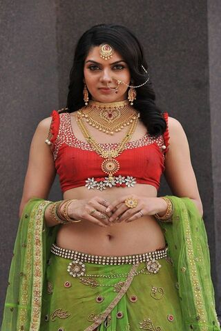 Elegance in Tradition: The Charm of Indian Attire