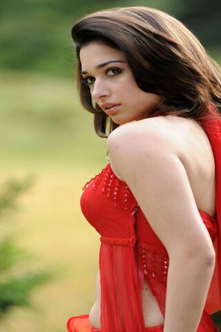 Tamanna: The Essence of Elegance 🌹