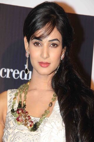 Elegance Personified: The Charm of Sonal Chauhan ✨