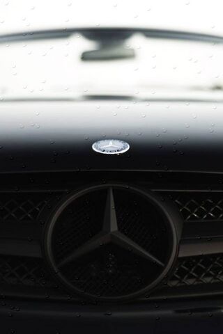 Elegance on Wheels: The..
