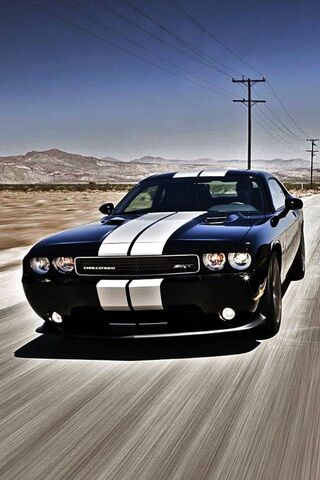 Mustang