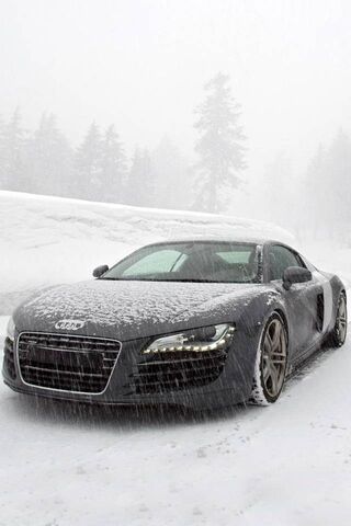 Audi R8: Winter Warrior..