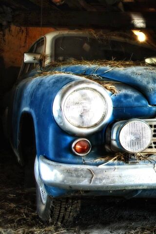 Timeless Treasure: The Forgotten Classic 🚗✨