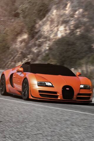 The Orange Thunder: Bug..