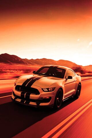 Unleashing Power: The 2015 Ford Shelby GT350