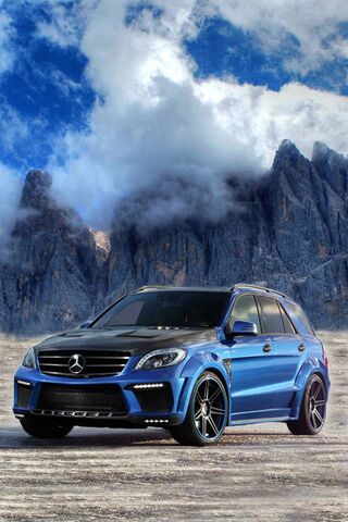 Majestic Ride: The Beauty of Mercedes