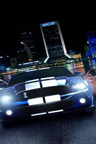 Roaring Through the Nig..