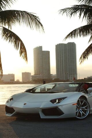 Lamborghini Dreams: A S..