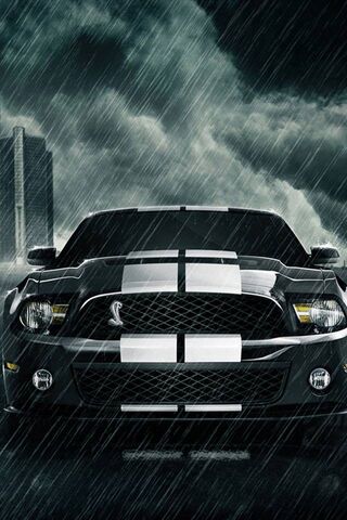 Shelby Gt500