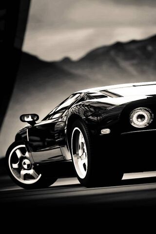 Ford Gt Black