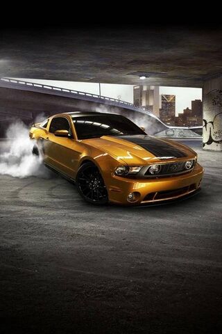Unleashing the Beast: F..