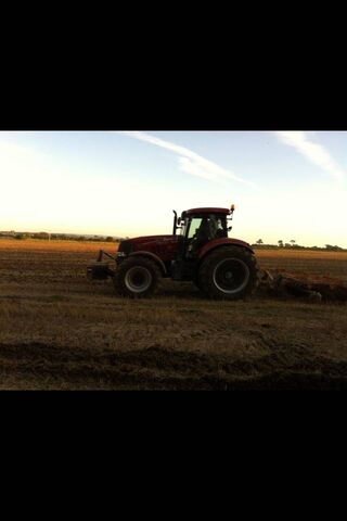 Powering the Fields: Case Puma 230 CVX in Action 🚜🌾