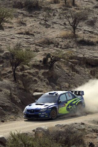Rally Adventure: The Th..