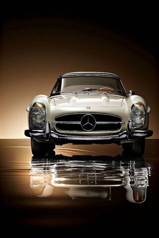 Timeless Elegance: The ..