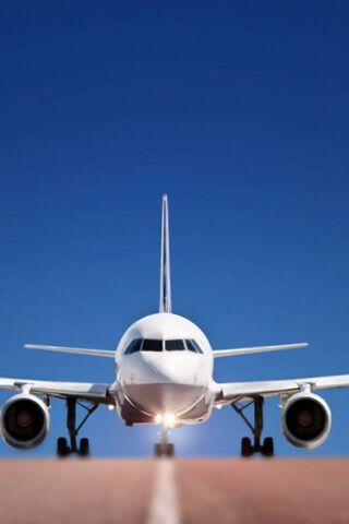 Soaring High: The Majesty of Flight ✈️