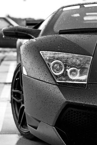 Rainy Day Elegance: The Front Lambo