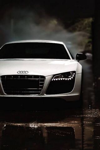 Audi: The Pinnacle of P..