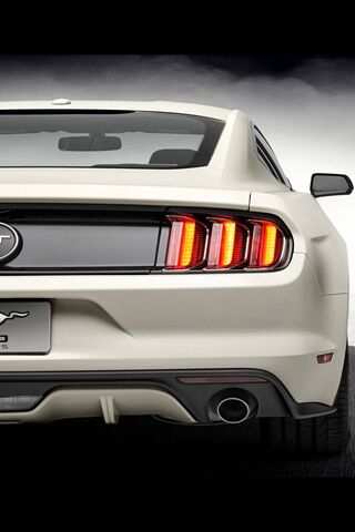 Revving Up Style: The 2..