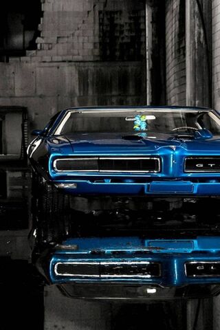 Muscle Machine: Power a..