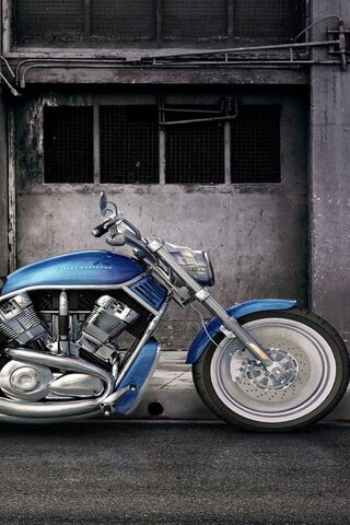 Cruising in Style: The ..
