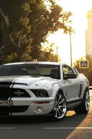 Roaring into the Sunset..