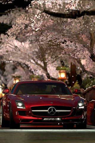 Mersedes: A Cherry Blossom Dream 🚗🌸