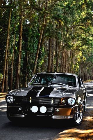 Shelby Gt500