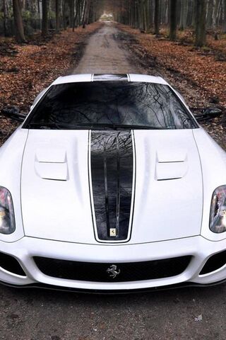 Ferrari 599 GTO: The Pinnacle of Performance 🚗💨