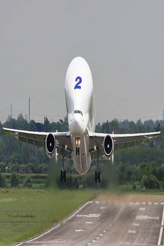 Soaring into the Sky: T..