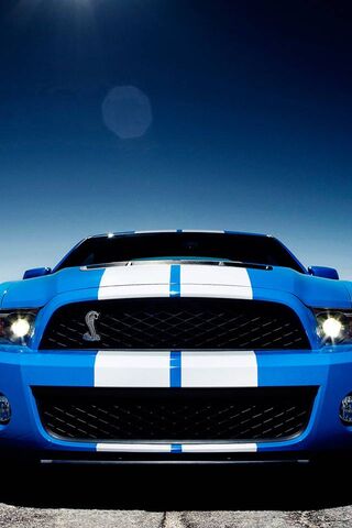 Unleashing the Beast: Shelby GT500 🐍💨
