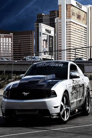 Mustang: The Icon of Sp..