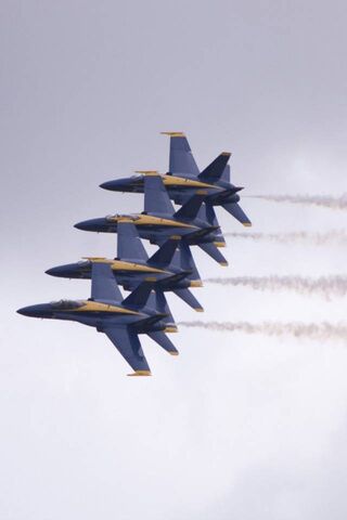Blue Angels in Formation: Aerial Precision