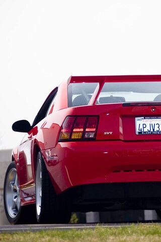 Giải phóng Mustang Cobra 00: Một huyền thoại trên bánh xe! 🐎🔥