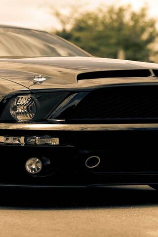 Unleashing Power: The S..