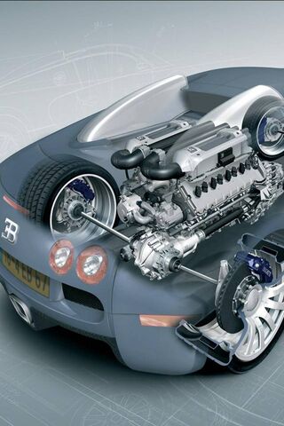 Unleashing Power: The H..