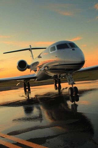 Soaring into the Sunset: The Elegance of Flight ✈️🌅