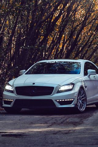 Elegance on Wheels: The..