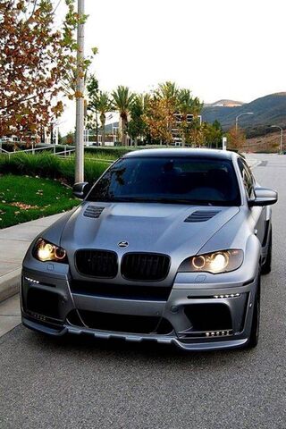 Sleek Power: The BMW X6..