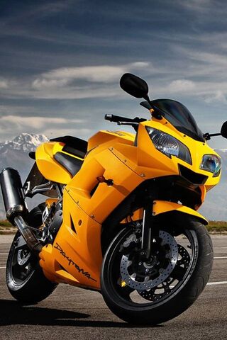 Daytona Dream: The Ultimate Ride 🏍️✨